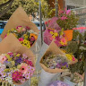 Meet your Posher, Claudia